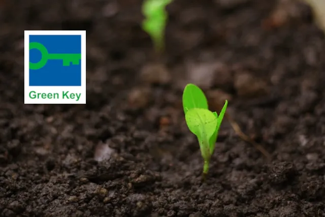 Junge Pflanze, Symbol für Green key-Zertifizierung