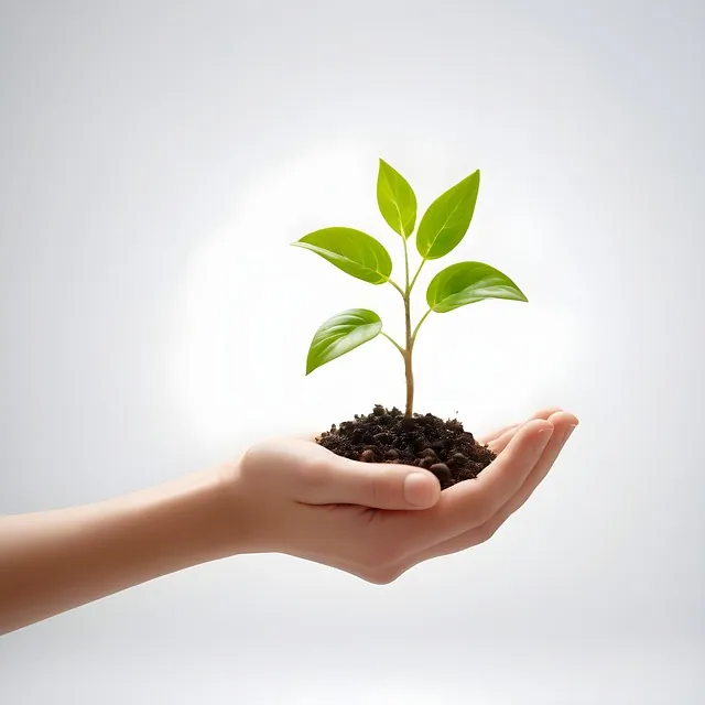 Eine junge Hand trägt einen wenige Zentimeter großen Baumtrieb.