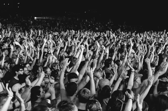 Menschenmenge hebt den Arm