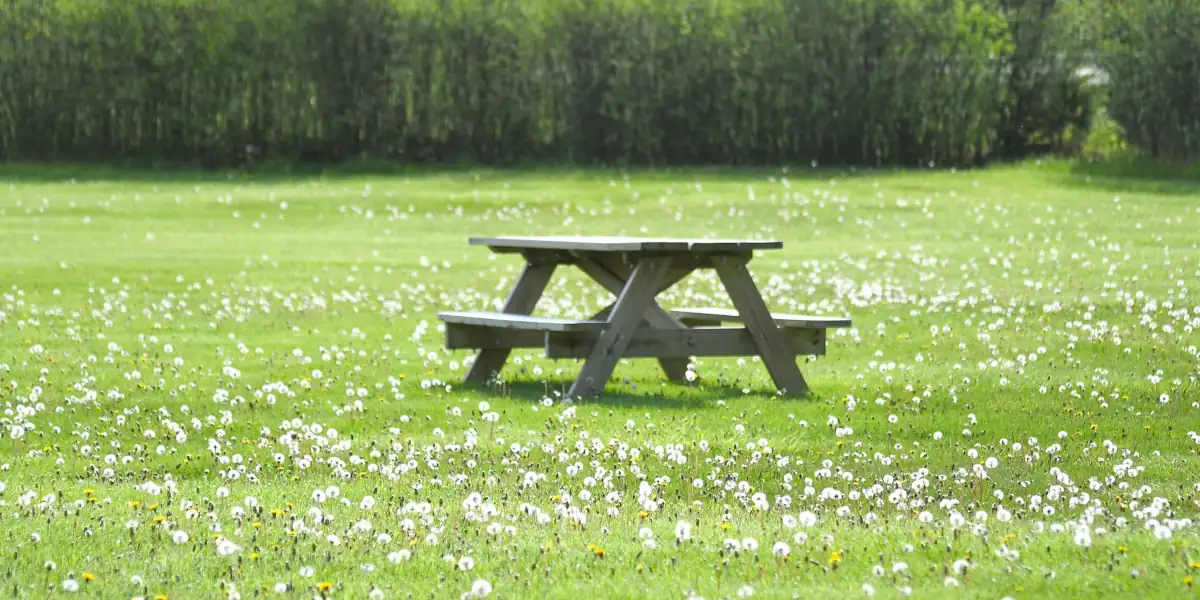 Standardfoto für GreenKeyers, das einen blumigen Besucherpark zeigt